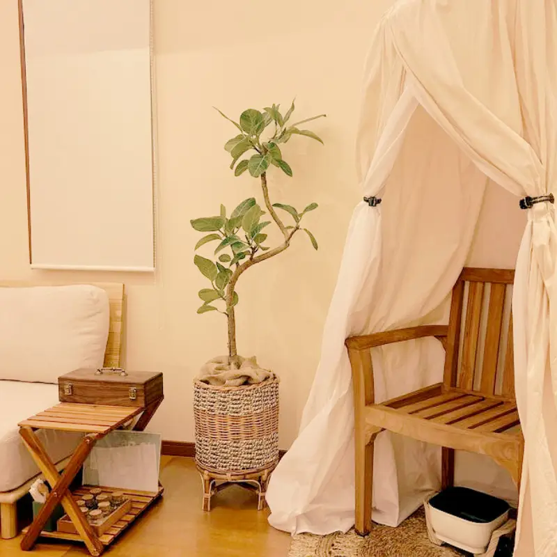 ハーブテント正方形更新PickUp (800 x 800 px)